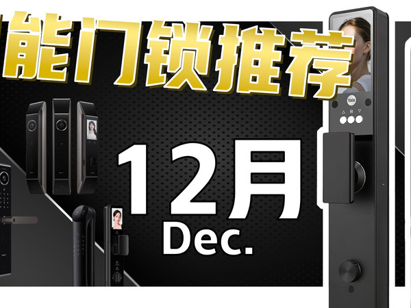 【双十二智能门锁避坑指南】2025年末班车，小白必看！指纹，猫眼，人脸识别。哪款才是真正的锁王？