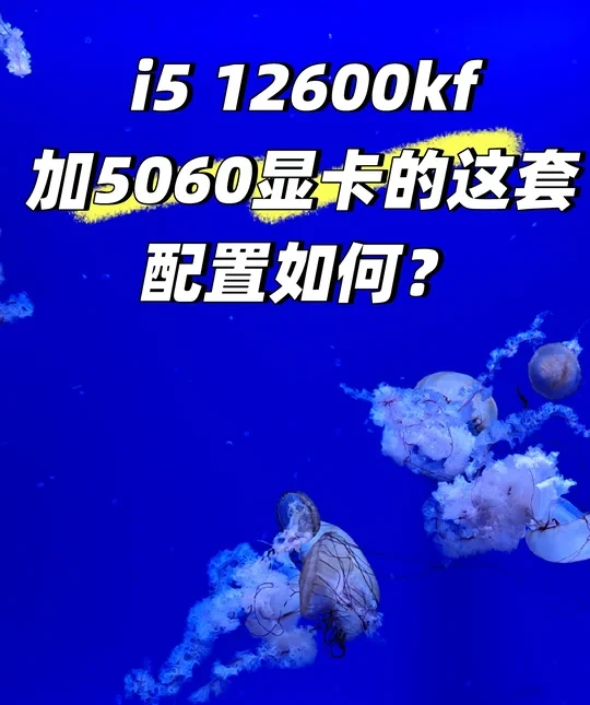 机友们帮看看12600kf加5060这套配置如何