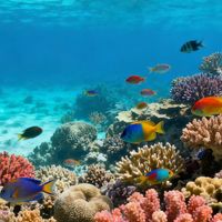 菏泽高强丙纶线批发服务下载，获取最新报价和优惠信息