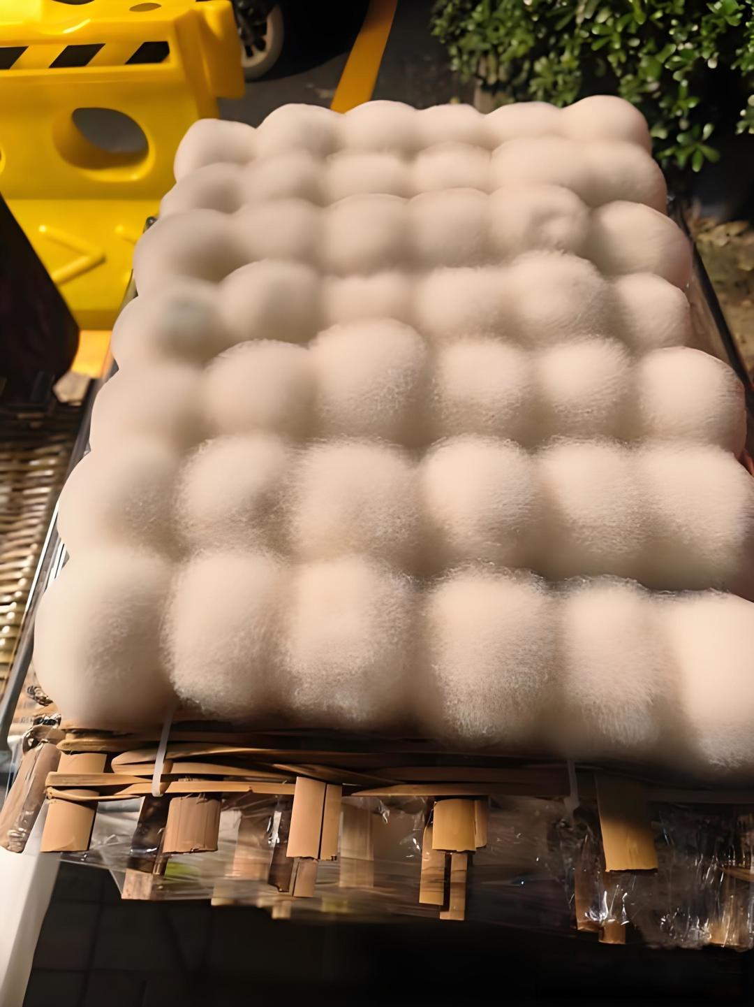 下雪天安徽人排队也要吃,这种“长毛”的豆腐到底有多香?
