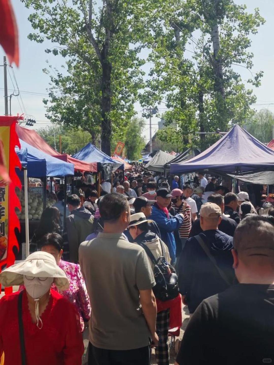 北京小伙逛沙河大集满载而归,出租屋里吃卤煮炸糕,这才是生活!