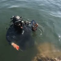 华为Mate 80湖中浸泡51小时仍能开机引热议