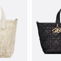 DIOR限定款VS经典款深度对决：Toujours手袋哪个更值得入手？