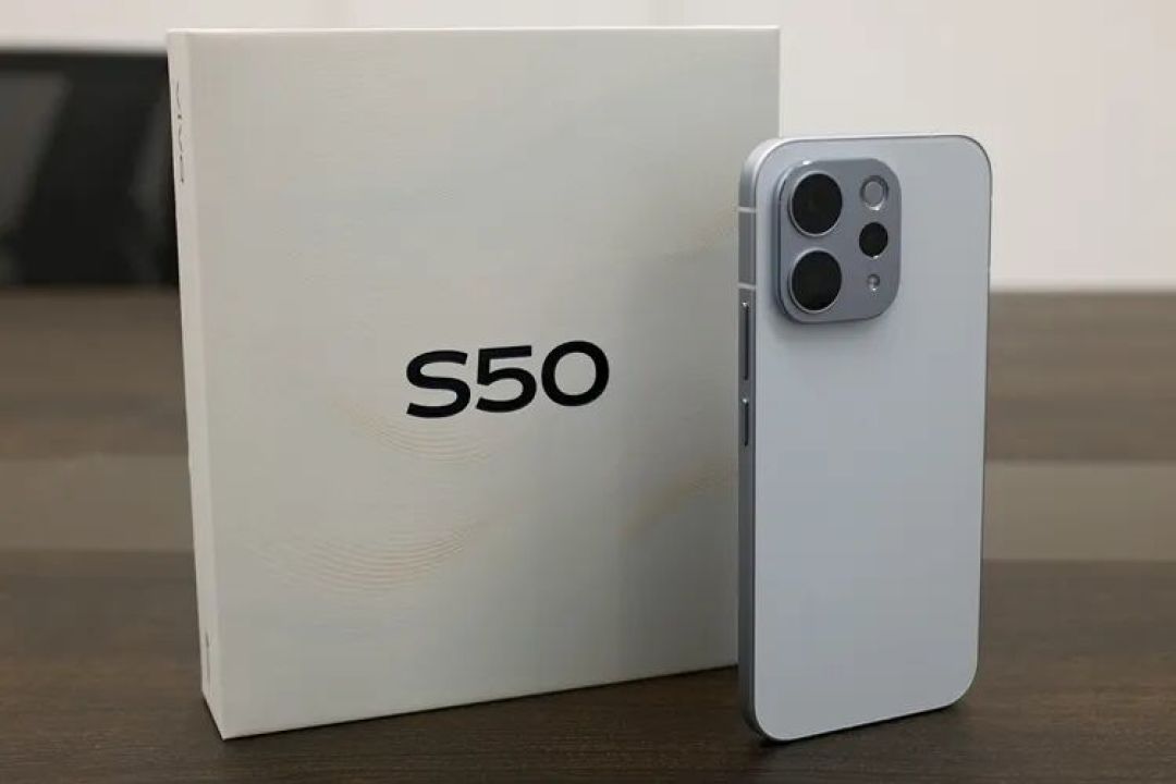 图源：不客观实验室