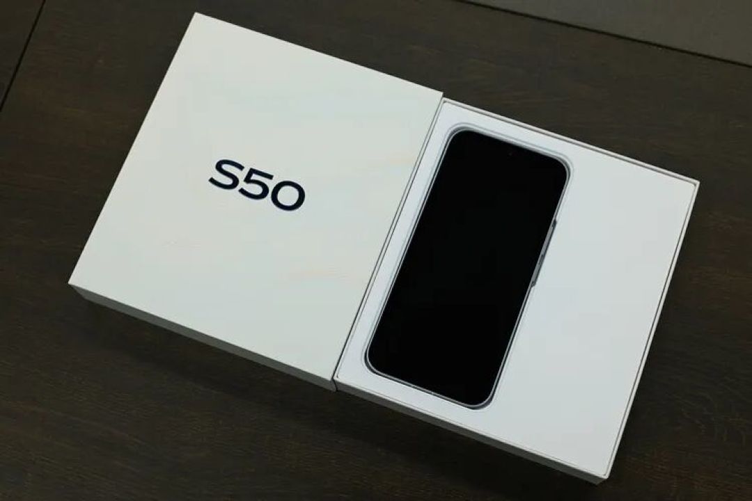 图源：不客观实验室
