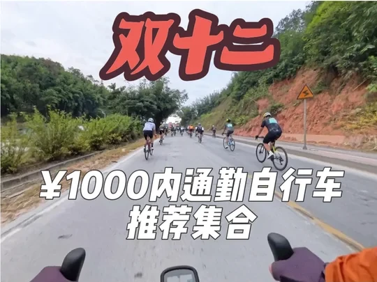 2025年双十二1000内高性价比通勤自行车推荐