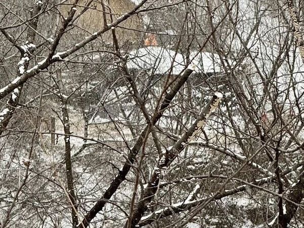 周末愉快@12.14@小玉的双板滑雪鞋