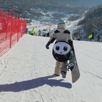 大疆Action 5 Pro记录三千公里雪道