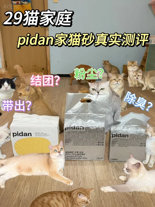 29猫家庭｜pidan家3款猫砂真实测评！