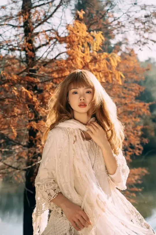 📷：秋日来信✉️·水杉林里的温柔诗篇