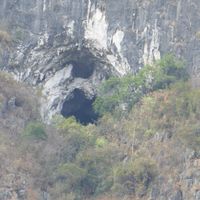 Clementine(开源音乐播放器)