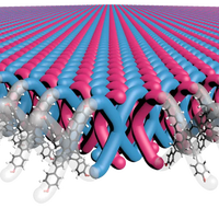 攀山鼠锁子甲真的割不坏吗？129+ 用户真实观点全景呈现