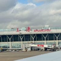 中免与杜福睿中标上海机场免税店，日上26年经营终结引热议