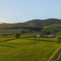 权益的维护体现了品牌的责任和价值