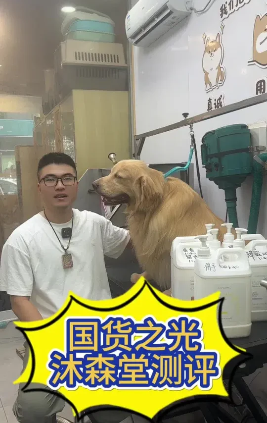 #龙港宠物店 #同城好店推荐 #上热门 #吕大宠pethouse #宠物高端洗护 沐森堂复方系列测评