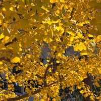 三星S25 Ultra使用三个月体验