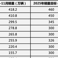 比亚迪表现亮眼持续领跑，2025 年销量再攀高峰