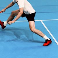 钓鱼佬开始打羽毛球了 篇零：羽毛球鞋垫，性能急救站还是智商税？