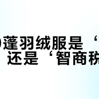 1000蓬羽绒服是‘硬核保暖’还是‘智商税’？全网观点大PK