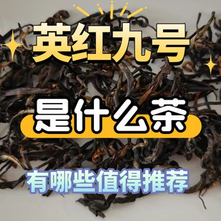 英红九号是什么茶？有哪些品牌值得购买？