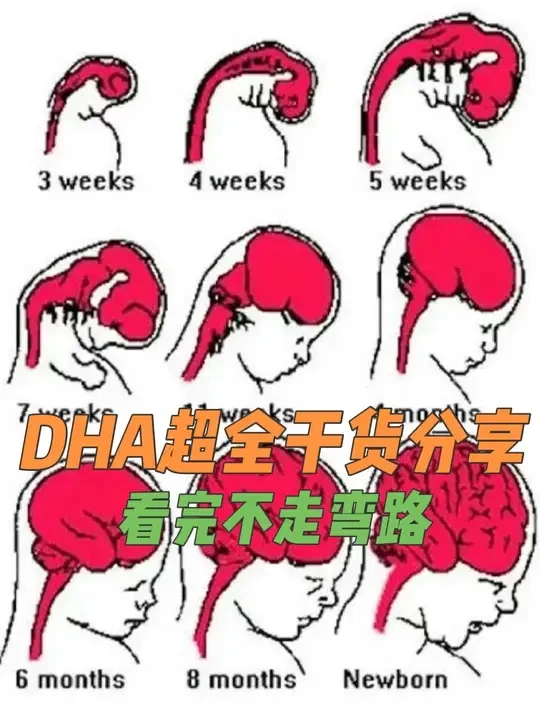 干货分享，视频有点长，看完绝不走弯路~ 怎么选DHA看这一条就够了，姐妹们找源头认原料最靠谱！#dha怎么选#孕期dha#孕妇吃dha的好处#孕期一人吃二人补 #DHA