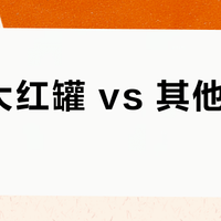 脉鲜大红罐 vs 其他高山罐？冬季露营燃气罐怎么选？我们汇总了127位用户真实体验