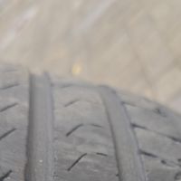 蝎子胎的九年陪伴，终要转入国产