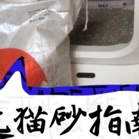 猫砂选购心得：选对猫砂不崩溃，八年养猫经验为你避避雷！