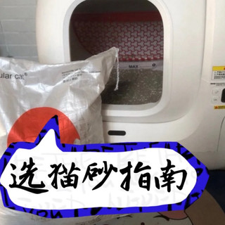 猫砂选购心得：选对猫砂不崩溃，八年养猫经验为你避避雷！