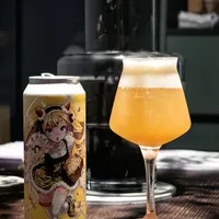 国产精酿值得入手吗？537+用户观点大碰撞