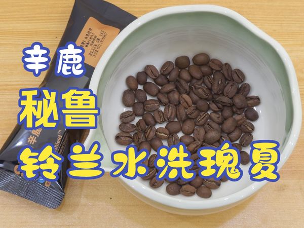 辛鹿 秘鲁铃兰水洗瑰夏