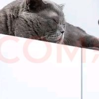 博世冰箱：厨房的新智慧伙伴