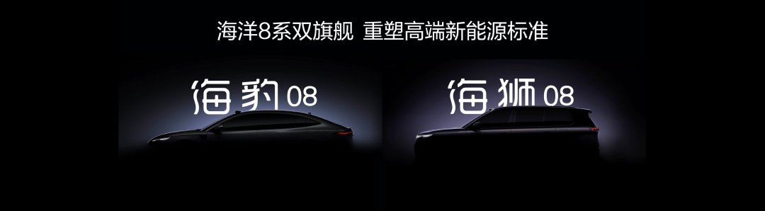比亚迪双旗舰定名海豹08海狮08,携顶尖技术剑指高端市场