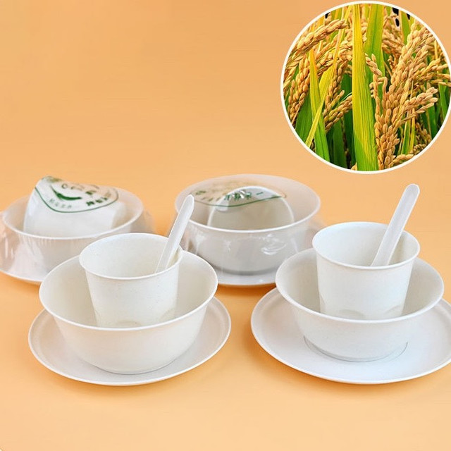 全国稻壳可降解一次性餐具哪个好？福建稻盈厂家真实测评