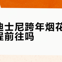 上海迪士尼跨年烟花秀值得专程前往吗？1000+用户观点大PK