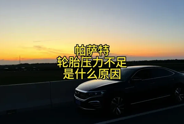 帕萨特胎压监测故障灯亮了怎么办 帕萨特胎压报警，轮胎压力不足怎么办#汽车知识 #胎压 #帕萨特 #上汽大众 #开帕萨特的阿振