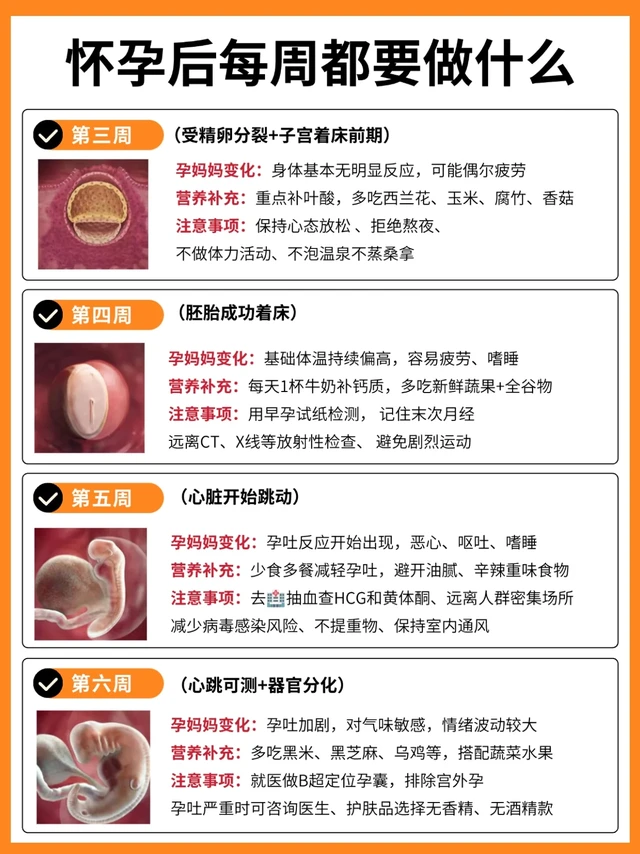 怀孕后每周需要做什么❓一篇讲清楚！！！