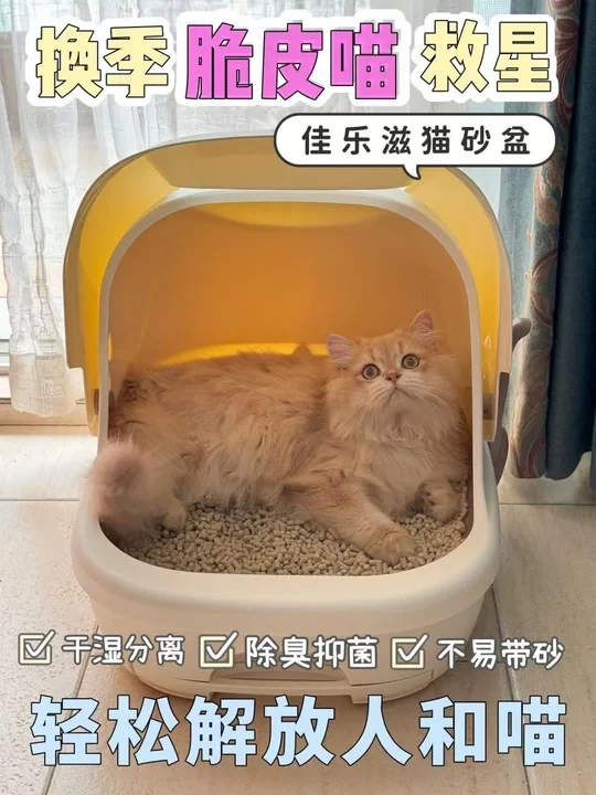 养猫人必看！简直是换季脆皮喵救星！
