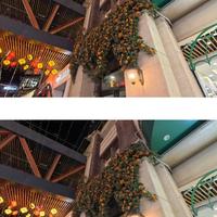 大疆Osmo 360 vs 影石X5夜景航拍选谁？127位用户实测观点汇总