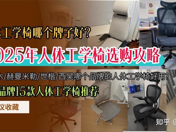 人体工学椅哪个牌子好?2025年人体工学椅选购攻略,夏草木/赫曼米勒/世楷/西昊哪个品牌的人体工学椅好用?各大品牌15款人体工学椅推荐