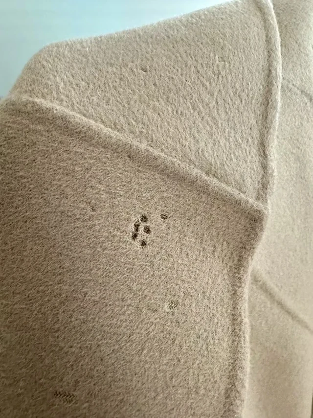 一年没洗的伊芙丽大衣竟然被虫蛀😨