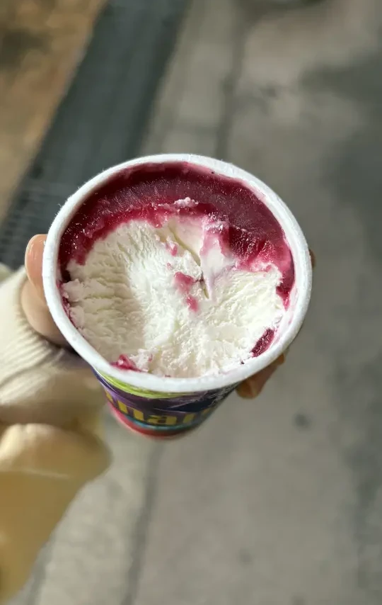 🇯🇵这雪糕是神②