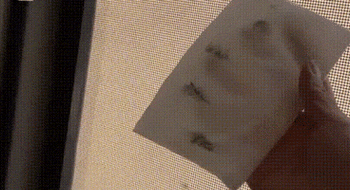 纱窗清洁该拆洗还是免拆？770+用户真实观点全景呈现