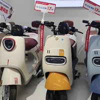 顶流明星代言的“电驴黑马”台铃冲刺上市，从修理铺干到年入百亿