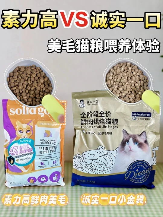 诚实一口VS素力高,美毛猫粮喂养体验!