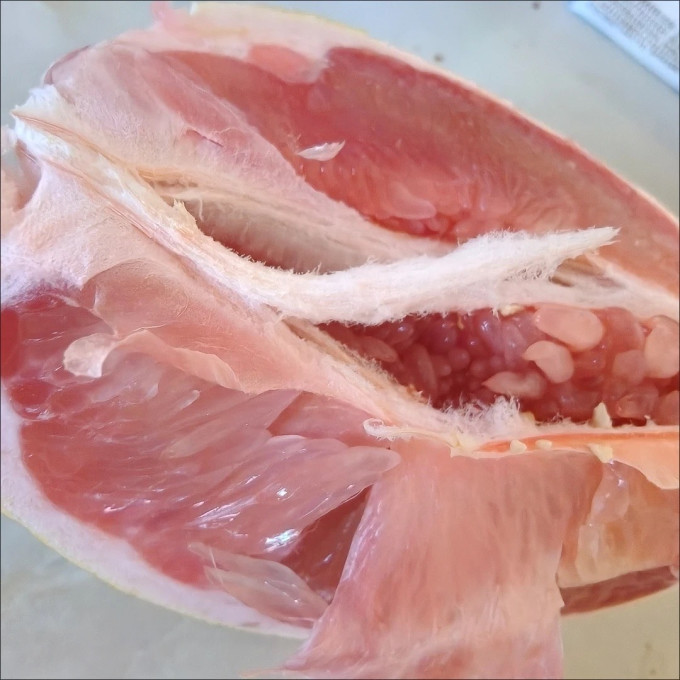 新鲜水果