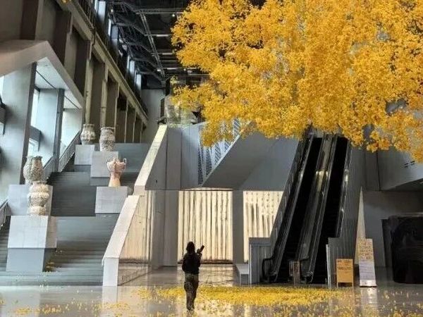 新展打卡 | 黄浦岁末看展指南：古罗马艺术大展、故宫沉浸式数字体验…必看展览一网打尽！