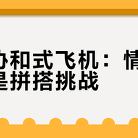 乐高协和式飞机：情怀收藏还是拼搭挑战？全网观点大碰撞