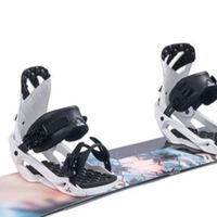 雪季滑雪装备全解析，从滑雪板到保暖内衣，哪些品牌性价比高？