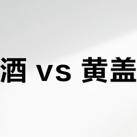 宝丰酒 vs 黄盖汾酒？我们汇总了127位酒友真实观点，结论在这